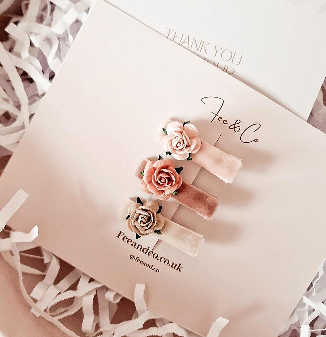 Mini velvet & Rose clips
